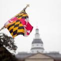 Annapolis-State-House-MD-flag_304